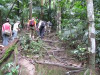Taman_Negara_Dschungelwanderung_IMG_0140 &ndash; &copy; Daniela Paulan (Eberhardt TRAVEL)