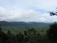 Taman_Negara_Dschungelwanderung_IMG_0144 &ndash; &copy; Daniela Paulan (Eberhardt TRAVEL)