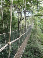 Taman_Negara_Canopy_Walk_P1050061 &ndash; &copy; Daniela Paulan (Eberhardt TRAVEL)