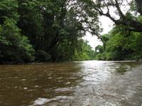 Taman_Negara_Dschungelbootsfahrt_IMG_0164 &ndash; &copy; Daniela Paulan (Eberhardt TRAVEL)