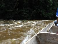Taman_Negara_Dschungelbootsfahrt_IMG_0172 &ndash; &copy; Daniela Paulan (Eberhardt TRAVEL)