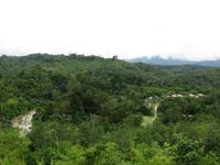 Cameron_Highland_Orang_Asli_Dorf_IMG_0219 &ndash; &copy; Daniela Paulan (Eberhardt TRAVEL)