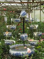 Cameron_Highland_Rosenfarm_IMG_0246 &ndash; &copy; Daniela Paulan (Eberhardt TRAVEL)