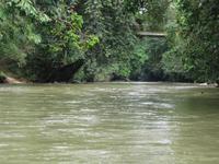 Batang_Ai_Bootsfahrt_zum_Langhaus_IMG_0369 &ndash; &copy; Daniela Paulan (Eberhardt TRAVEL)