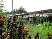 Batang_Ai_Iban_Langhaus_IMG_0378 &ndash; &copy; Daniela Paulan (Eberhardt TRAVEL)