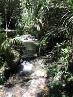 Kota_Kinabalo_Berggarten_IMG_0611 &ndash; &copy; Daniela Paulan (Eberhardt TRAVEL)