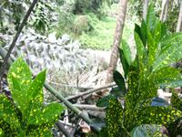 Kota_Kinabalo_Poring_Springs_IMG_0670 &ndash; &copy; Daniela Paulan (Eberhardt TRAVEL)