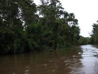 Sandakan_Tierentdeckung_IMG_0863 &ndash; &copy; Daniela Paulan (Eberhardt TRAVEL)