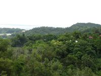 Sandakan_Chinesischer_Tempel_IMG_0887 &ndash; &copy; Daniela Paulan (Eberhardt TRAVEL)