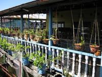Labuan_Wasserdorf_IMG_0963 &ndash; &copy; Daniela Paulan (Eberhardt TRAVEL)