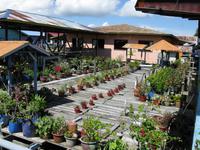 Labuan_Wasserdorf_IMG_0964 &ndash; &copy; Daniela Paulan (Eberhardt TRAVEL)
