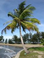 Brunei_Empire_Hotel_IMG_1070 &ndash; &copy; Daniela Paulan (Eberhardt TRAVEL)