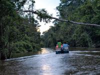 Borneo-Sukau: Auf Affensafari mit dem Boot &ndash; &copy; Daniela Paulan (Eberhardt TRAVEL)