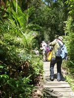 114 Delima Trail, Bako Nationalpark, Borneo, Malaysia &ndash; &copy; Maria Michel (Eberhardt TRAVEL)