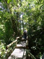 197 Gunung Mulu Nationalpark, Borneo, Malaysia &ndash; &copy; Maria Michel (Eberhardt TRAVEL)