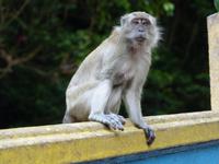 464 Batu Cave, Kuala Lumpur, Malaysia &ndash; &copy; Maria Michel (Eberhardt TRAVEL)