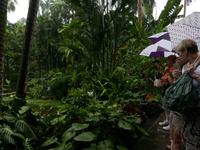 Orchideen Garten Singapur (2) &ndash; &copy; Mai Lin Tjoa-Bonatz (Eberhardt TRAVEL)