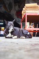 Ipoh &ndash; &copy; Vivien Fiedler (Eberhardt TRAVEL)