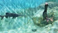 Singapur, Sentosa, Aquarium &ndash; &copy; Ria Heilmann (Eberhardt TRAVEL)