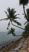 Singapur, Sentosa, südlichster Punkt vom asiatischen Festland &ndash; &copy; Ria Heilmann (Eberhardt TRAVEL)