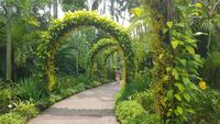 Singapur, Orchideengarten &ndash; &copy; Ria Heilmann (Eberhardt TRAVEL)