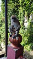 Malaysia, Kuala Lumpur, Batu Tempel &ndash; &copy; Ria Heilmann (Eberhardt TRAVEL)