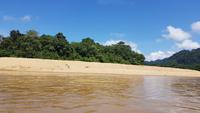 Malaysia, Bootsfahrt in den Taman Negara NP &ndash; &copy; Ria Heilmann (Eberhardt TRAVEL)