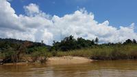 Malaysia, Bootsfahrt in den Taman Negara NP &ndash; &copy; Ria Heilmann (Eberhardt TRAVEL)