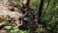 Malaysia, Cameron Highlands, Wanderung im Dschungel &ndash; &copy; Ria Heilmann (Eberhardt TRAVEL)
