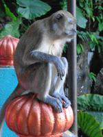Rundreise Singapur & Malaysia, Batu Caves &ndash; &copy; Martina Häselbarth (Eberhardt TRAVEL)