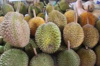 Durian &ndash; &copy; Elisa Müller (Eberhardt TRAVEL)