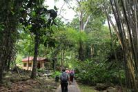 Poring Hot Springs &ndash; &copy; Elisa Müller (Eberhardt TRAVEL)