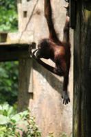 so süß! &ndash; &copy; Elisa Müller (Eberhardt TRAVEL)