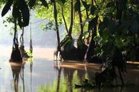 Mangroven &ndash; &copy; Elisa Müller (Eberhardt TRAVEL)