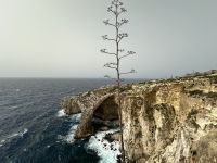 Malta &ndash; &copy; Sabine Letzybyll (Eberhardt TRAVEL)