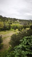 Barrakka Gärten Malta  &ndash; &copy; Beate Klingebiel (Eberhardt TRAVEL)
