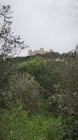 Barrakka Gärten Malta 