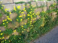 Malta &ndash; &copy; Maja Wilke (Eberhardt TRAVEL)
