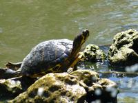 San Antons Garten &ndash; &copy; Ralf Kuchenbecker (Eberhardt TRAVEL)