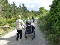 Buskett Gardens &ndash; &copy; Ralf Kuchenbecker (Eberhardt TRAVEL)