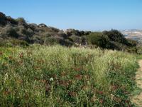 Idylle pur &ndash; &copy; Anne Hiecke (Eberhardt TRAVEL)