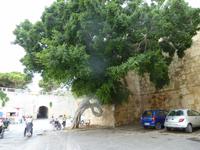 &copy; Angelika Werner (Eberhardt TRAVEL)