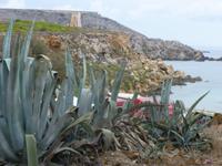Küstenansicht &ndash; &copy; Angelika Werner (Eberhardt TRAVEL)