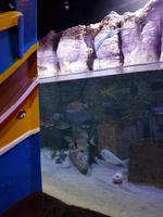 86_Malta Aquarium &ndash; &copy; Jörg Nesse (Eberhardt TRAVEL)