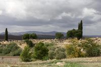 Volubilis &ndash; &copy; Astrid Kunath (Eberhardt TRAVEL)