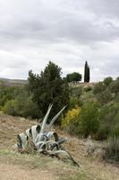 Volubilis &ndash; &copy; Astrid Kunath (Eberhardt TRAVEL)