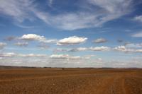 Sahara &ndash; &copy; Astrid Kunath (Eberhardt TRAVEL)