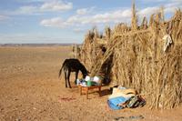 Bei Nomaden &ndash; &copy; Astrid Kunath (Eberhardt TRAVEL)