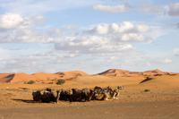 Sahara &ndash; &copy; Astrid Kunath (Eberhardt TRAVEL)