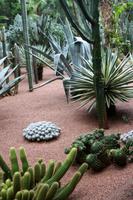 Jardin Majorelle &ndash; &copy; Astrid Kunath (Eberhardt TRAVEL)